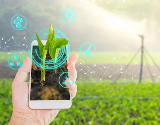 Plant Augmented Reality