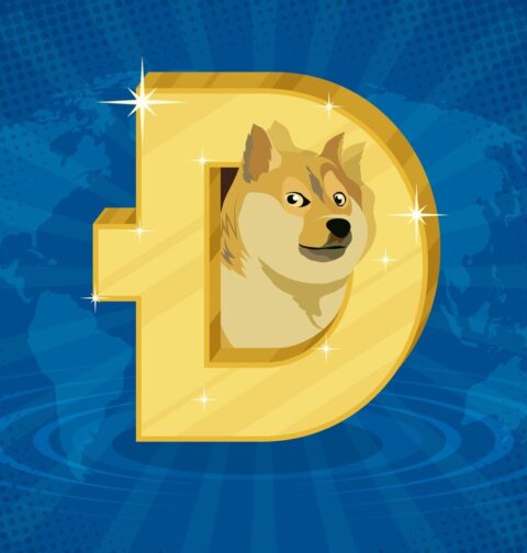 DrDoge